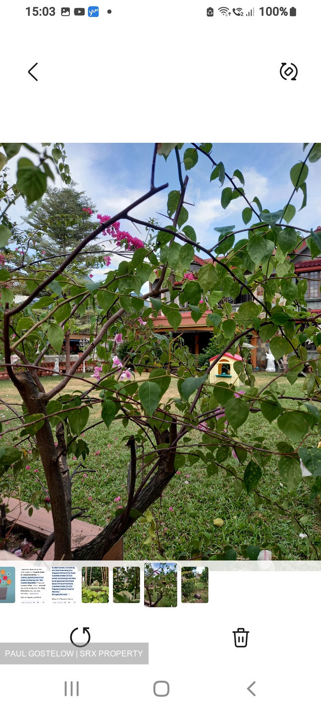 Jalan Binchang (D20), Detached #602339011
